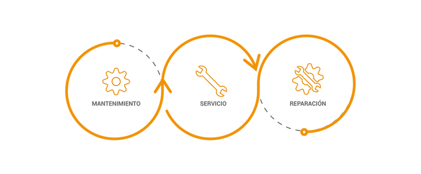 Proceso de servicios_mini CORREGIDO_v2_2-05.png